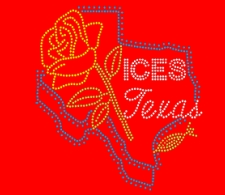 Texas ICES